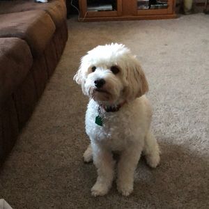 Meet your Posher, Stacey